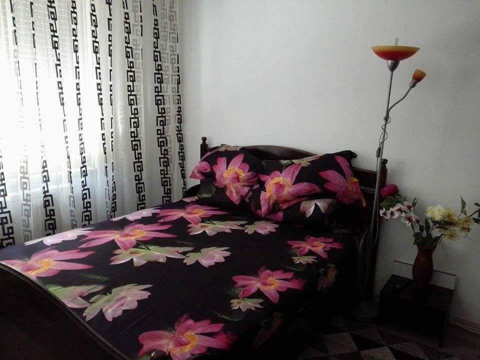 Apartament Ela Elegance Orşova Exterior foto